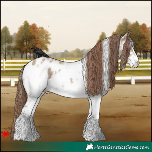 Horse Color:White Spotted Red Dun Near Leopard