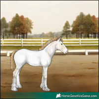 Horse Color:White Spotted Smoky Grullo Pearl Near Fewspot 