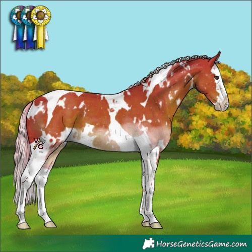 Horse Color:Watercolor White Spotted Liver Chestnut Splash Tobiano 