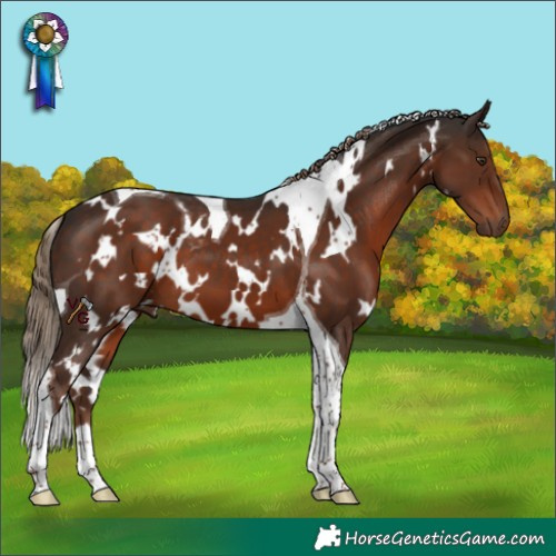 Horse Color:White Spotted Liver Chestnut Tobiano 