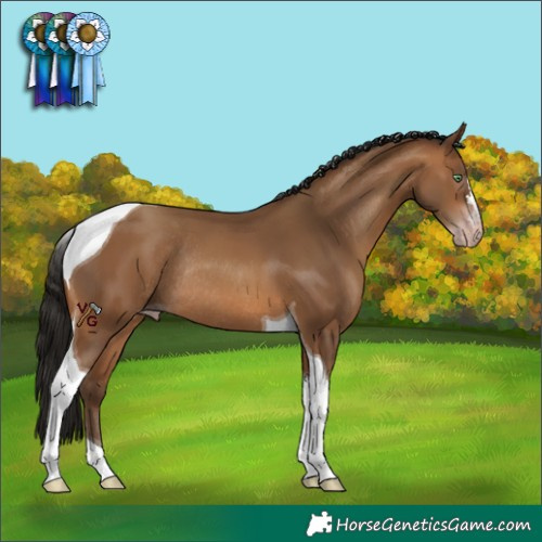 Horse Color:Gray Amber Champagne Tobiano Rabicano