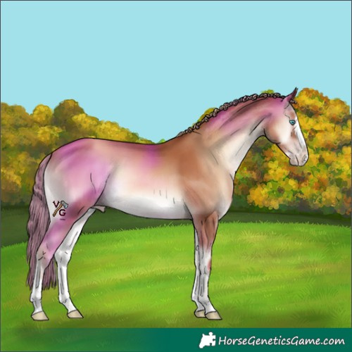 Horse Color:Gold Champagne Onyx Splash 