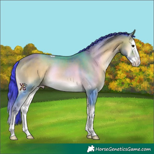 Horse Color:Watercolor Sable Champagne Onyx Splash Rabicano