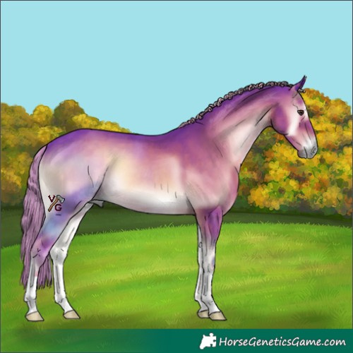 Horse Color:Watercolor Liver Red Onyx 