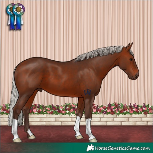 Horse Color:Silver Bay 