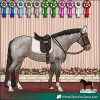 Horse Color:Liver Red Roan Varnish 