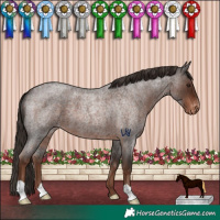 Horse Color:Liver Red Roan Varnish