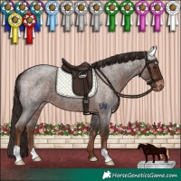 Horse Color:Liver Red Roan Varnish 