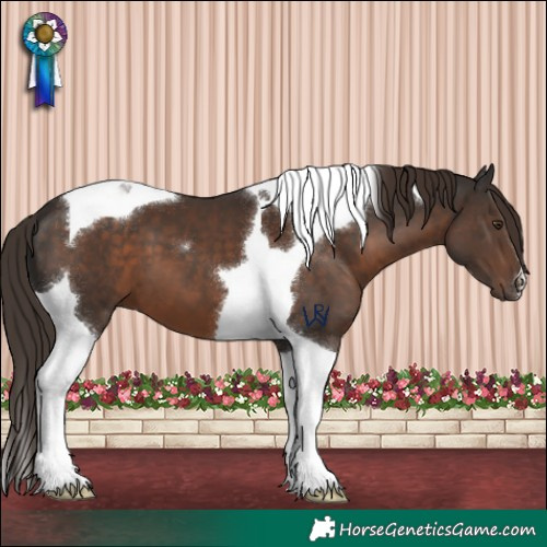 Horse Color:Liver Chestnut Tobiano 