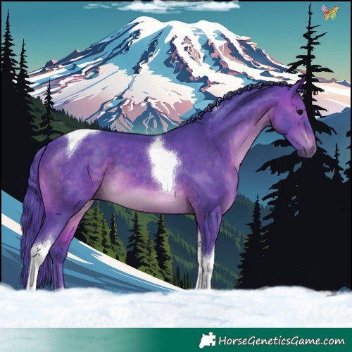 Horse Color:Watercolor Brown Tobiano 