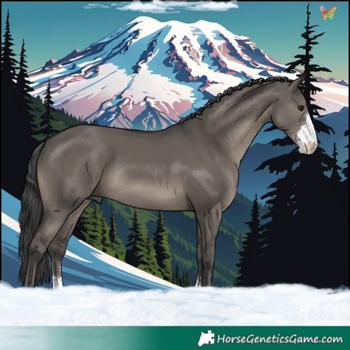 Horse Color:Grullo Sabino 