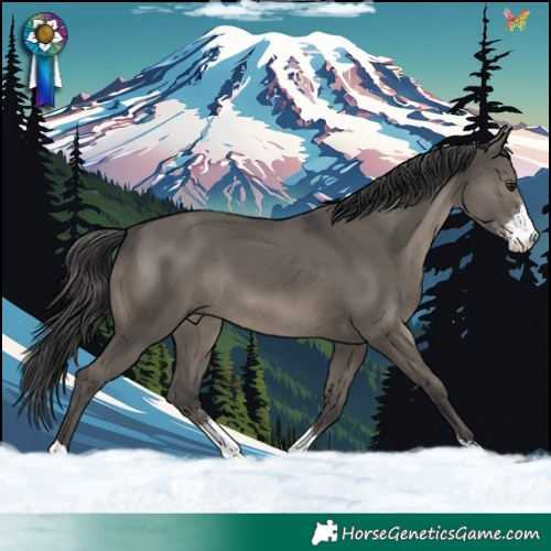 Horse Color:Grullo Sabino