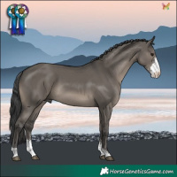 Horse Color:Grullo Sabino