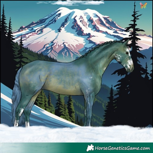 Horse Color:Watercolor Brown Sabino 
