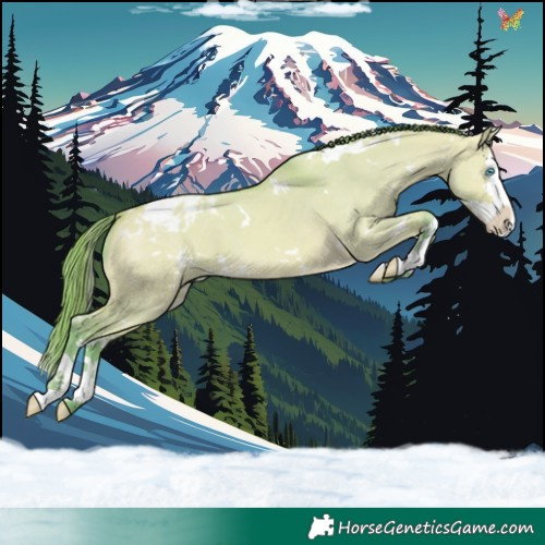 Horse Color:Watercolor White Spotted Amber Cream Champagne Dun Splash Appaloosa 