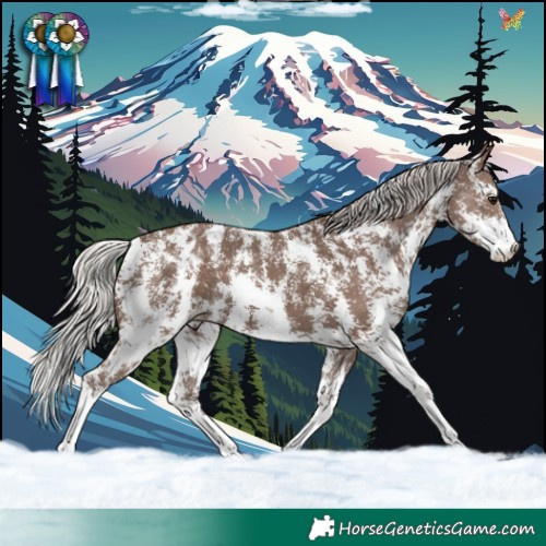 Horse Color:Silver Black Sabino Blanket