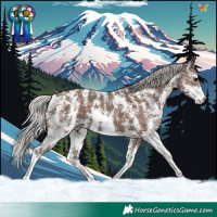 Horse Color:Silver Black Sabino Appaloosa