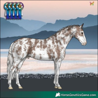 Horse Color:Silver Black Sabino Blanket
