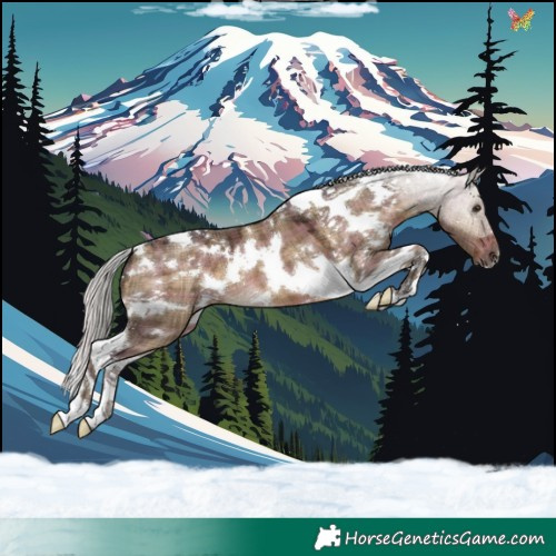 Horse Color:Plaid  White Spotted Silver Brown Dun Tobiano 