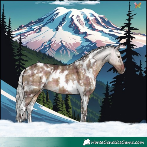 Horse Color:Plaid White Spotted Silver Brown Dun Tobiano