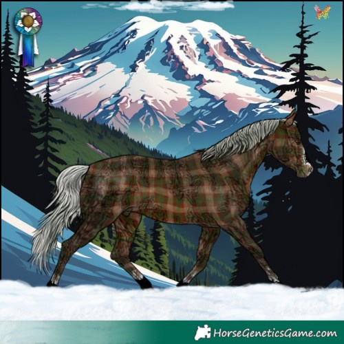 Horse Color:Plaid Silver Bay Ice