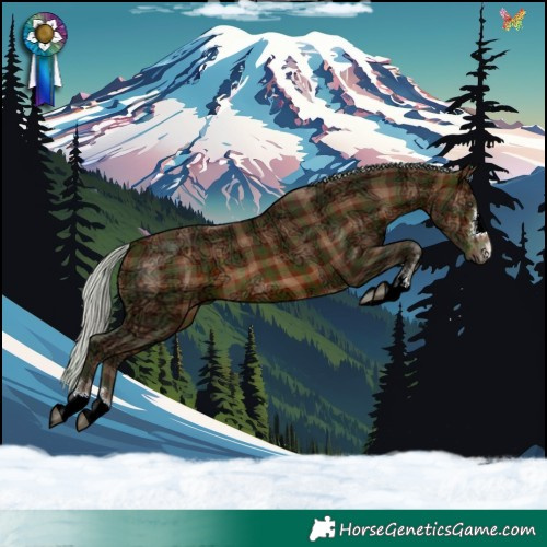 Horse Color:Plaid  Silver Bay Ice 