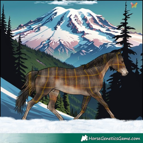 Horse Color:Plaid Liver Chestnut Rabicano
