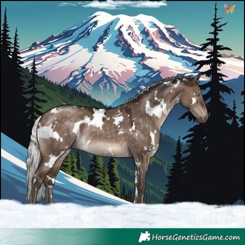 Horse Color:White Spotted Silver Brown Dun Mushroom 