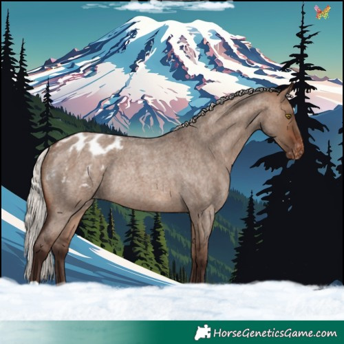 Horse Color:Silver Brown Roan Dun Appaloosa Rabicano