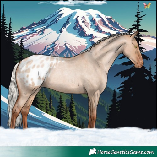 Horse Color:Silver Bay Roan Pearl Dun Appaloosa Rabicano