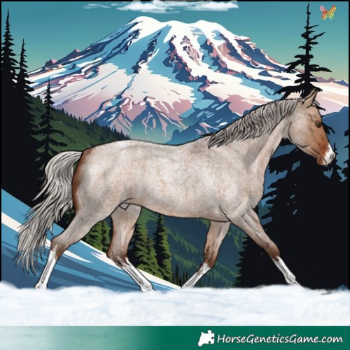 Horse Color:White Spotted Silver Brown Roan Dun Varnish Rabicano