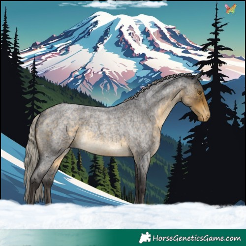 Horse Color:Silver Buckskin Roan Appaloosa Rabicano 