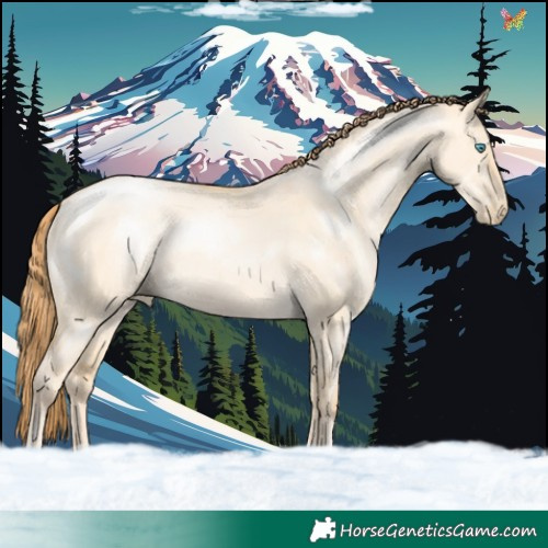 Horse Color:Buckskin Pearl Dun 