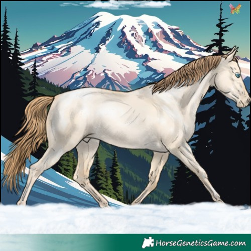 Horse Color:Buckskin Pearl Dun