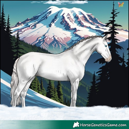 Horse Color:White Spotted Perlino Dun Sabino Splash