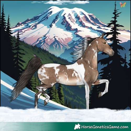 Horse Color:White Spotted Brown Dun Tobiano Rabicano 