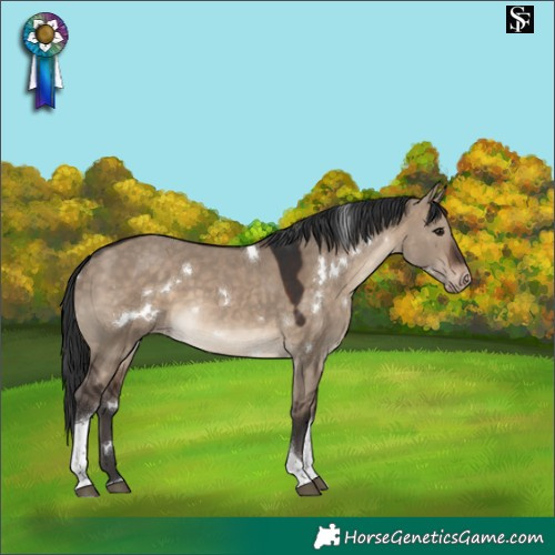 Horse Color:White Spotted Brown Dun Tobiano Varnish Rabicano
