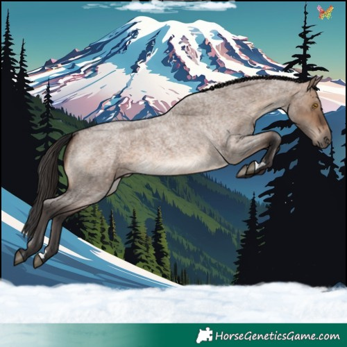 Horse Color:Brown Roan Dun 