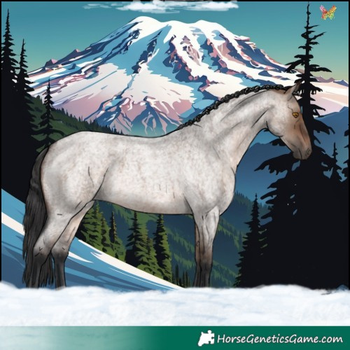 Horse Color:Brown Roan Dun