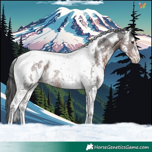 Horse Color:Liver Chestnut Sabino Tobiano Appaloosa Rabicano