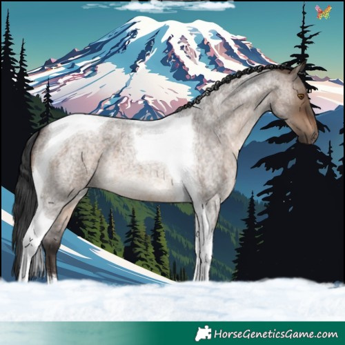 Horse Color:Brown Roan Dun Tobiano