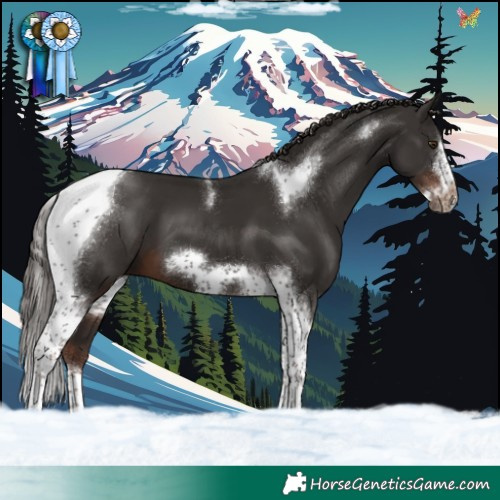 Horse Color:Liver Chestnut Tobiano Frame 