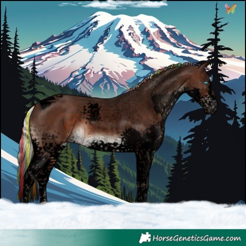 Horse Color:Void Painted Silver Brown Splash Tobiano