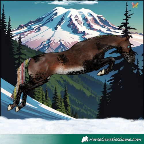 Horse Color:Void Painted Silver Brown Splash Tobiano 