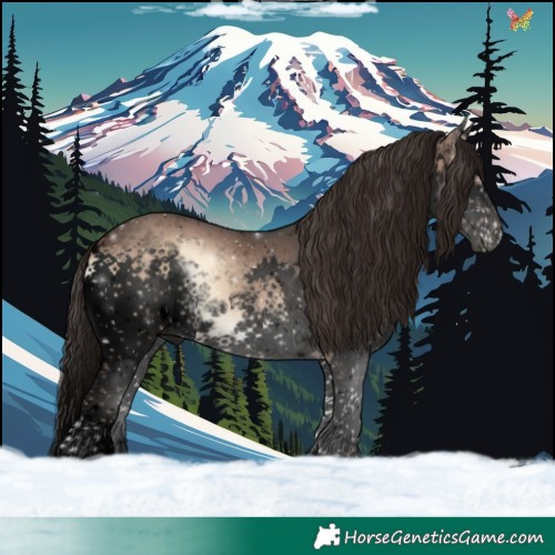 Horse Color:Void White Spotted Liver Red Onyx Splash