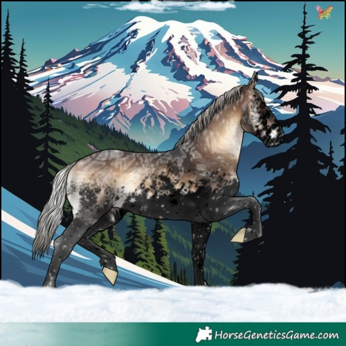 Horse Color:Void White Spotted Silver Brown Ice Onyx