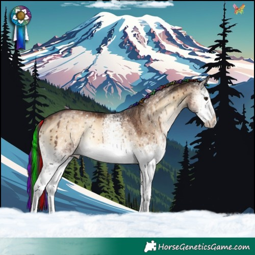 Horse Color:Painted White Spotted Liver Red Dun Onyx Rabicano Brindle 