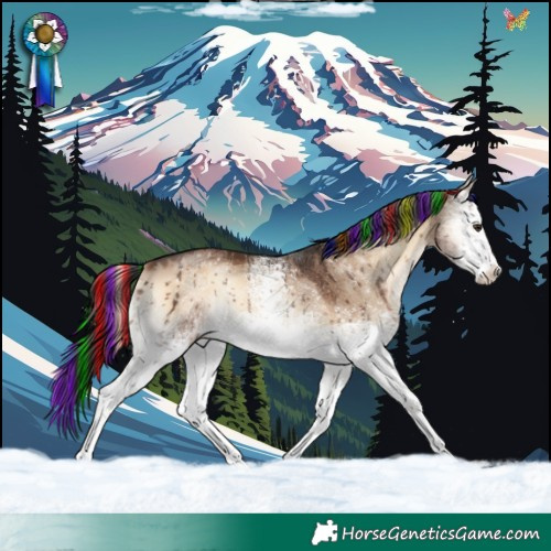 Horse Color:Painted White Spotted Liver Red Dun Onyx Rabicano Brindle 