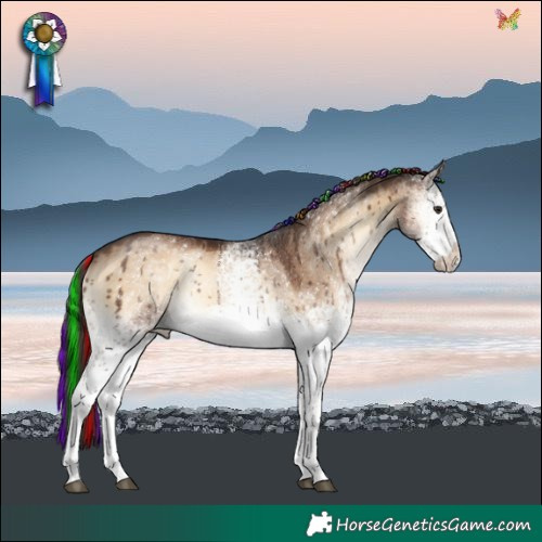Horse Color:Painted White Spotted Liver Red Dun Onyx Rabicano Brindle 
