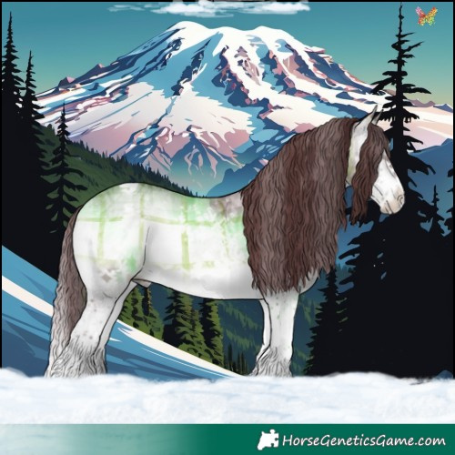 Horse Color:Plaid White Spotted Chocolate Brown Chinchilla Ice Onyx Splash Tobiano